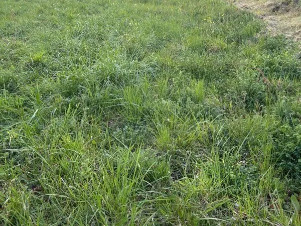 Terrain constructible Coligny