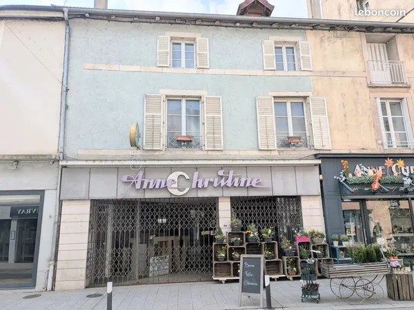 Immeuble de rapport 7 pièces 195 m²
