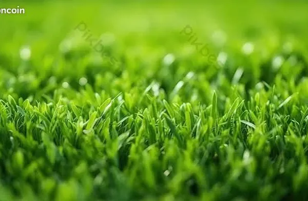Terrain 830 m² Ymare