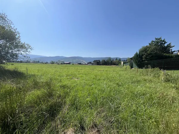 Local 1164 m²