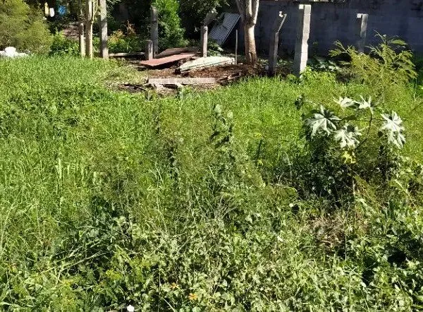 Terrain 431 m² La Rivière