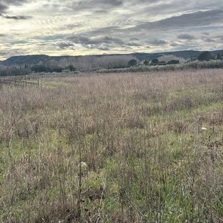 Terrain agricole