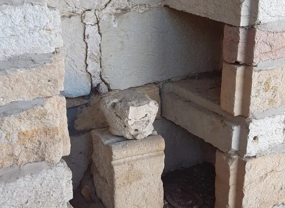 Photo 20