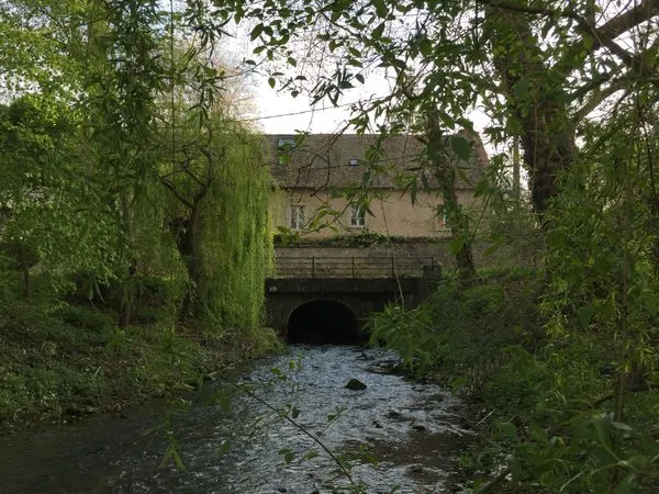 Magnifique terrain de loisir boisé et en bordure de rivière de 1302 m² en Seine-et-Marne à Château-L