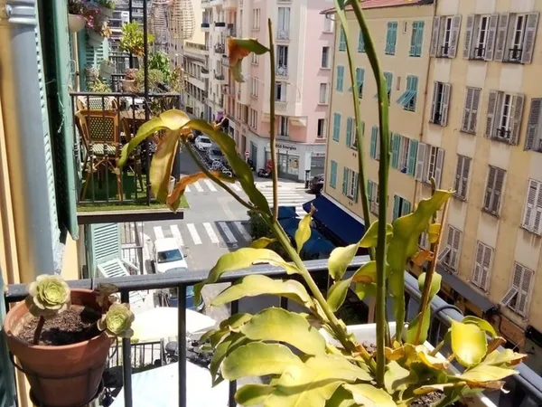 Particulier appartement Nice Port prox Vieux Nice