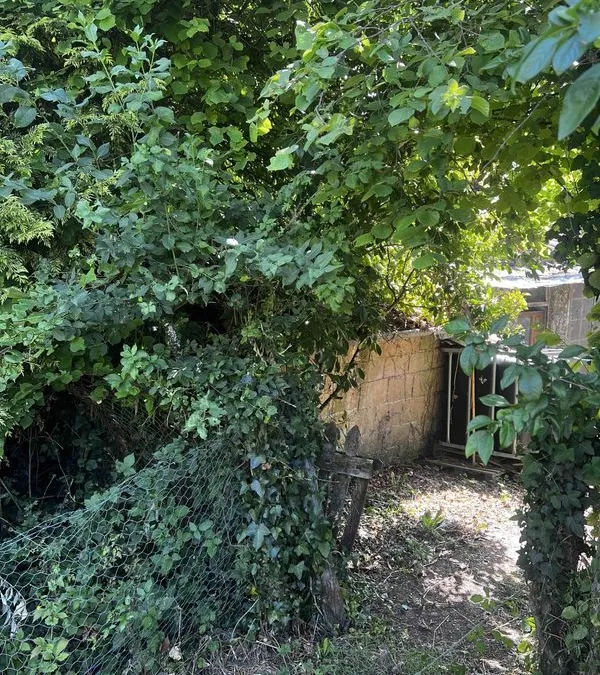 Photo 20