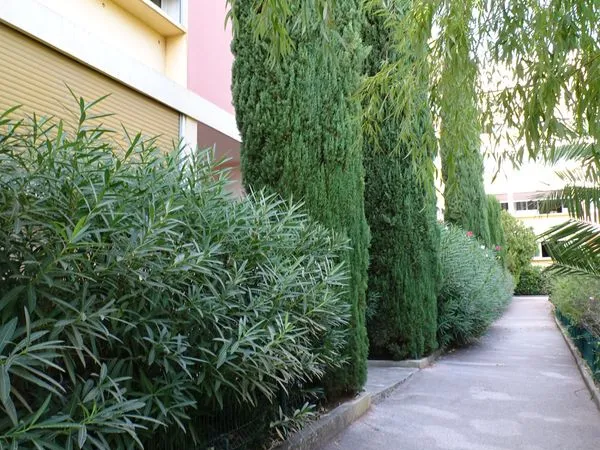 Appartement 4 pièces 72 m²
