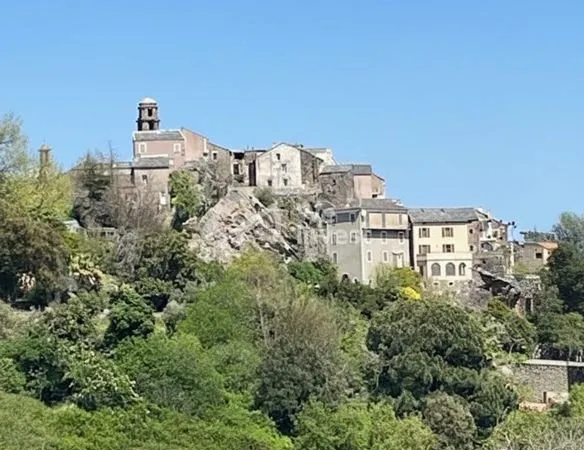 Terrain 3000 m² Penta-di-Casinca