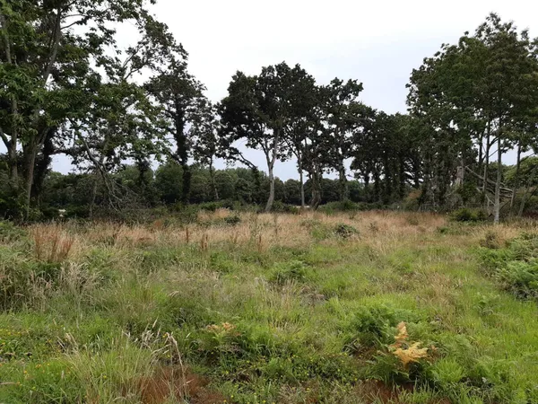 Terrain 450 m²