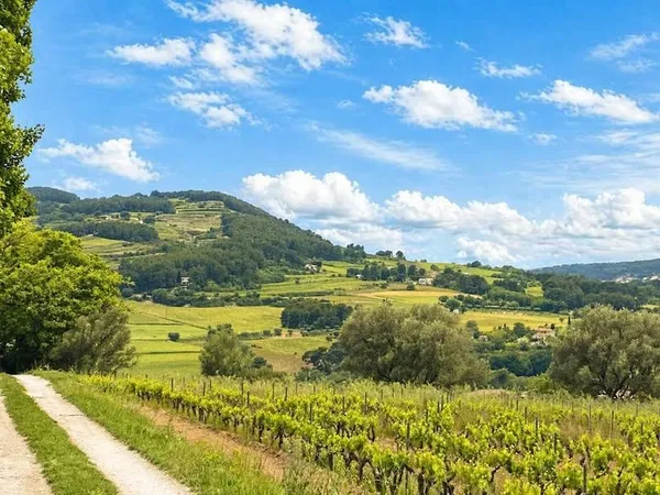 Terrain 522 m²
