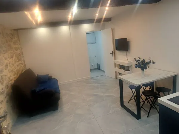 ✨ STUDIO 25 m² ENTIÈREMENT RÉNOVÉ - VENDU MEUBLÉ - AUCUN TRAVAUX À PRÉVOIR ✨