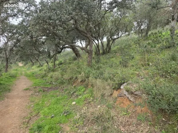 Terrain 27425 m² Bormes-les-Mimosas