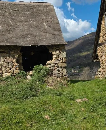 Bien agricole et foncier Vente Bethmale 1p 65m² 10000€