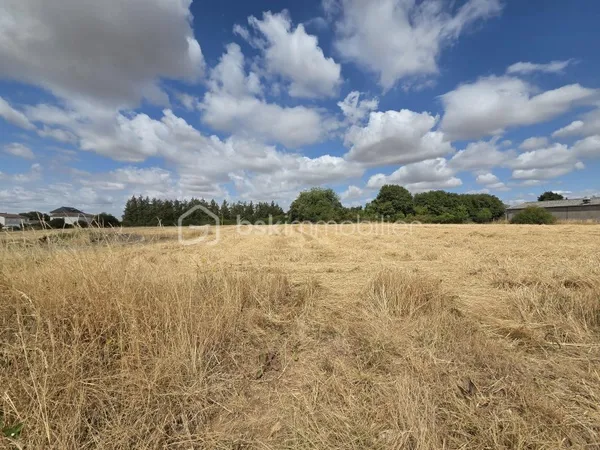 Terrain 8977 m²