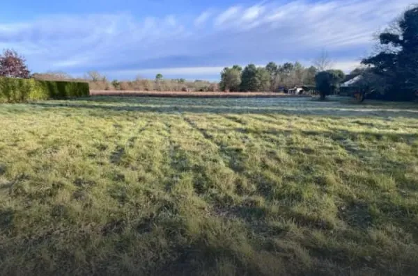 Terrain 2021 m²
