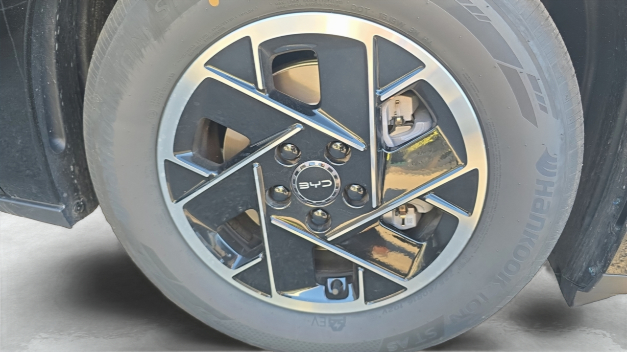 BYD Dolphin G 1.5 DM-i PHEV 212 ch — photo 15