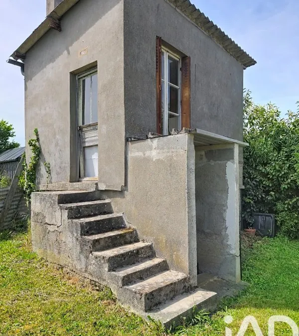 Photo 15