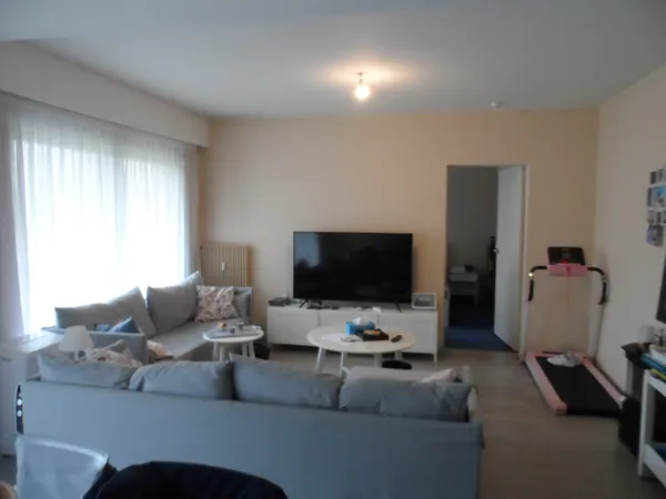 Romorantin Appartement Lumineux