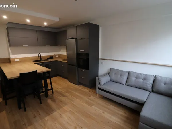 Beau T2 meublé de 37 m² à Clermont-Ferrand avec cave et place de parking