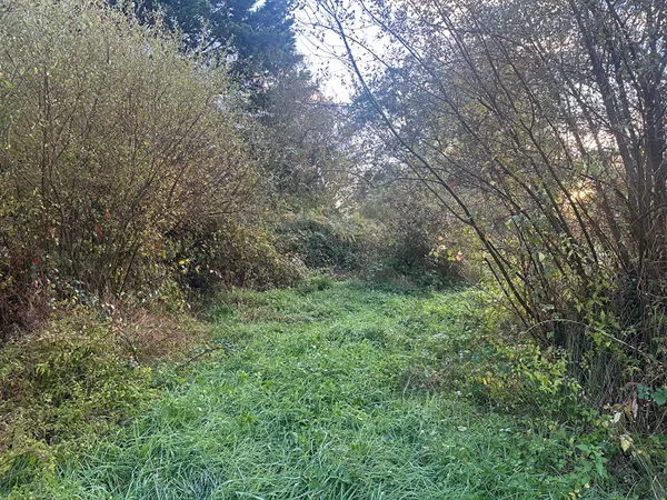 Terrain Limerzel 2920 m2