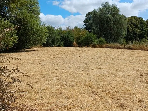 Térrain a bâtir