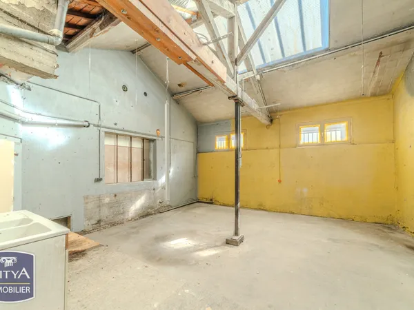 Bien immobilier de rendement Vente Roanne 234m² 195000€