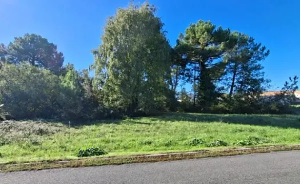 Terrain 533 m²