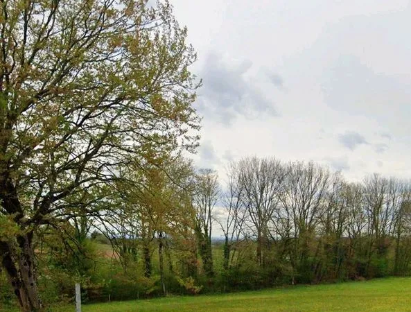 Terrain à Phaffans