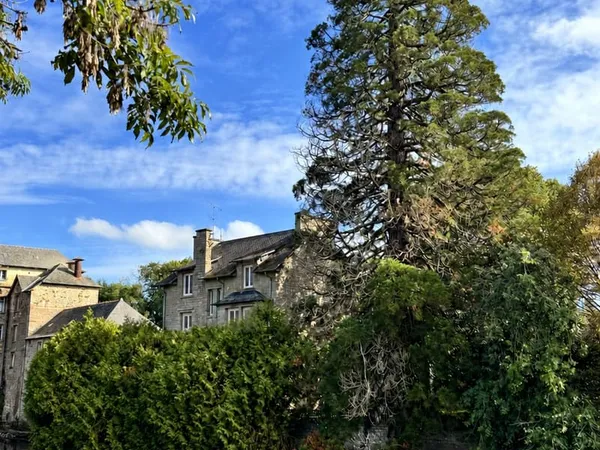 NOUVOITOU Maison de caractère d'environ 250 m2 5 chambre