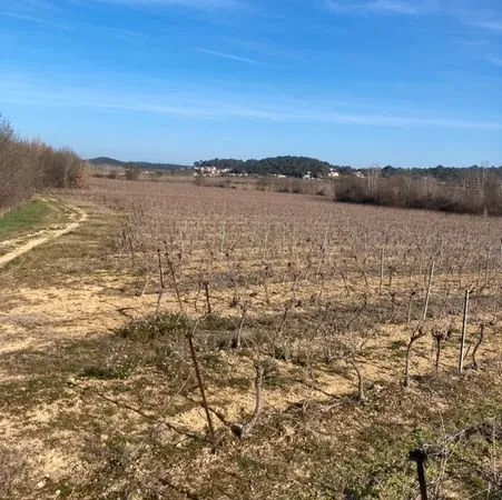 Terre agricole