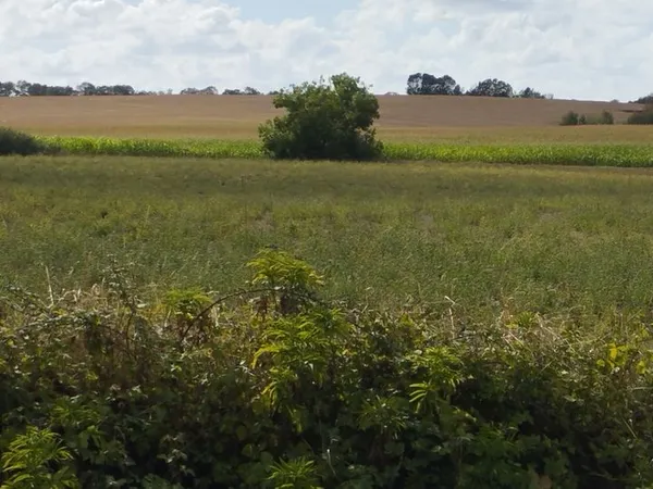 Terrain constructible
