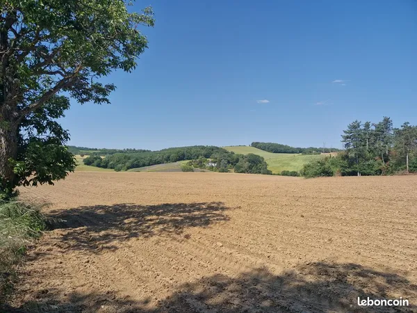 À vendre - Propriété agricole de 96 hectares - Secteur Lavaur (81)
