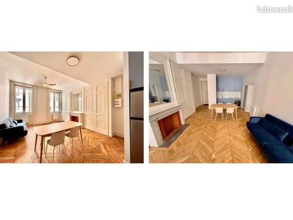 Appartement meublé entièrement rénové - Lyon 50 m²