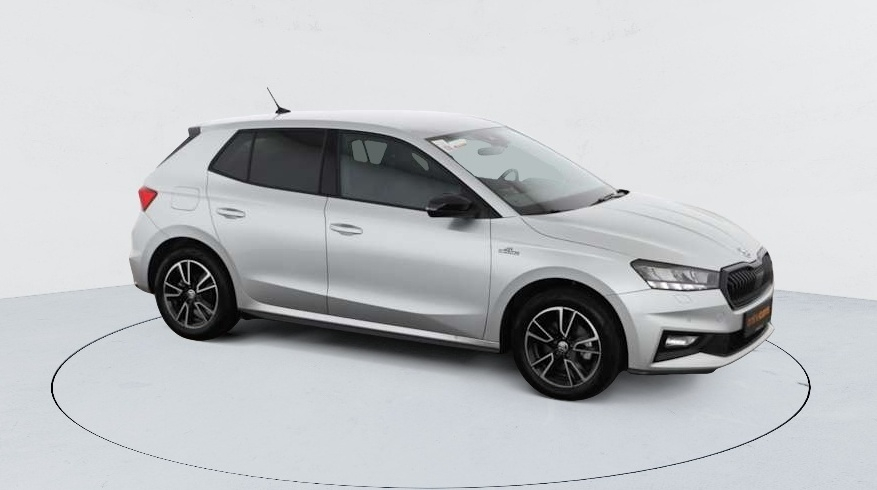 Skoda Fabia — photo 10
