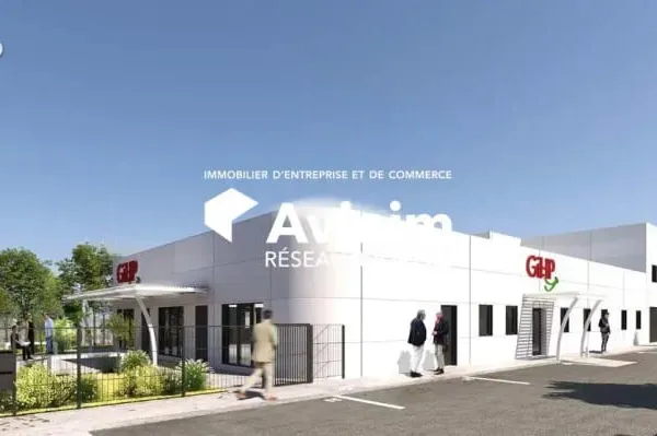 Local 243 m²
