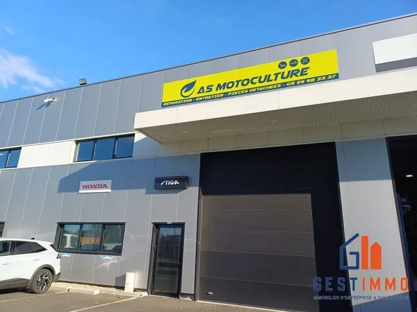 Local d'activité 229 m²