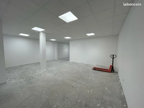 LOCAL PROFESSIONNEL - ATELIER / STOCKAGE - 50 m², 65 m² ou 115 m² - A PARTIR DE 500 EUROS BISCHWILLE