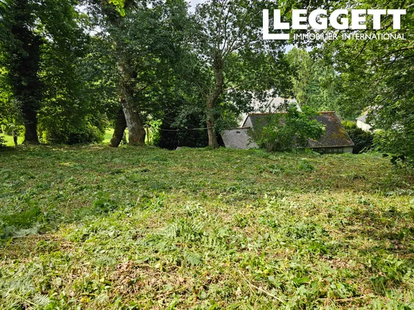 Plus d?un hectare de terrain au coeur de Belle-Isle-en-Terre ? 11 185 m² de nature, non constructibl