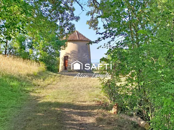 Moulin, vignes et vue Pyrénées à 360°