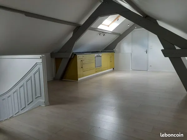 T2 de 59 m2 avec parking fermé et cave Gambetta / Science Po