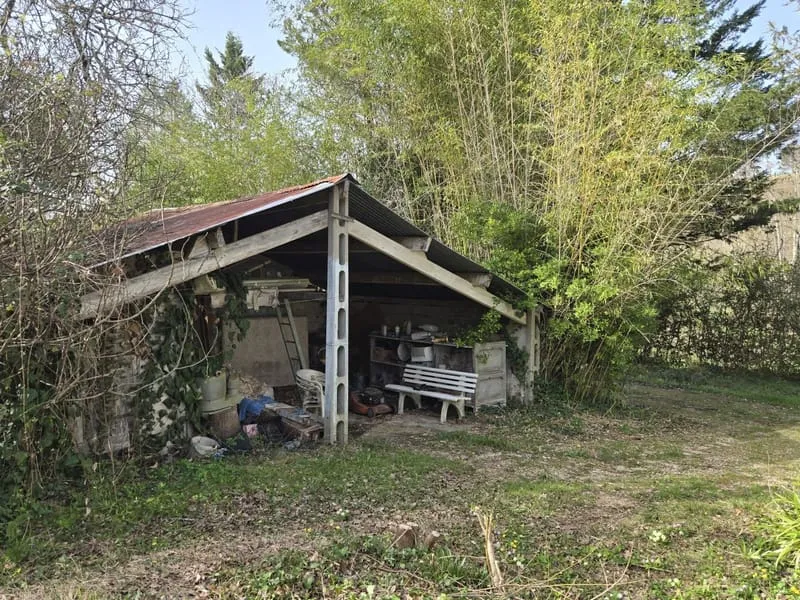 Photo 21
