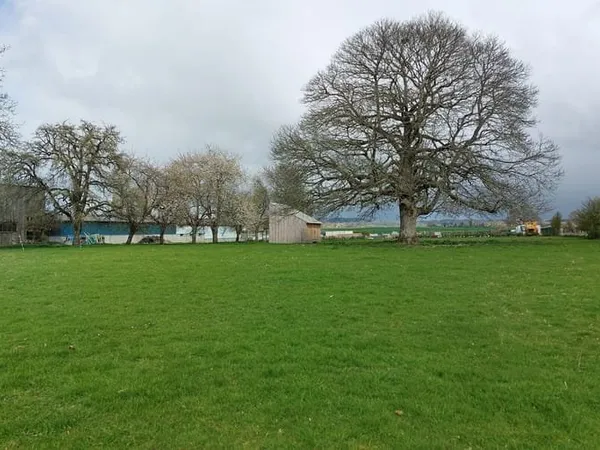 Terrain 4300 m²