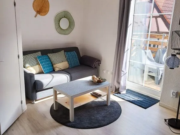 F2 Meublé Duplex Schiltigheim calme petite copropriété grand balcon bois