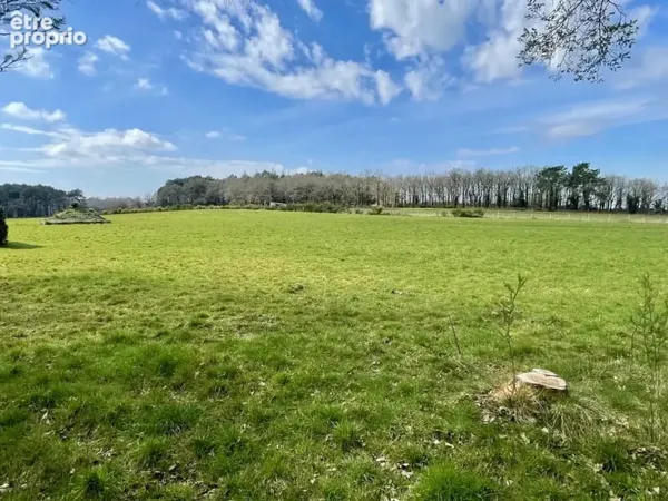 Aux portes de Vannes