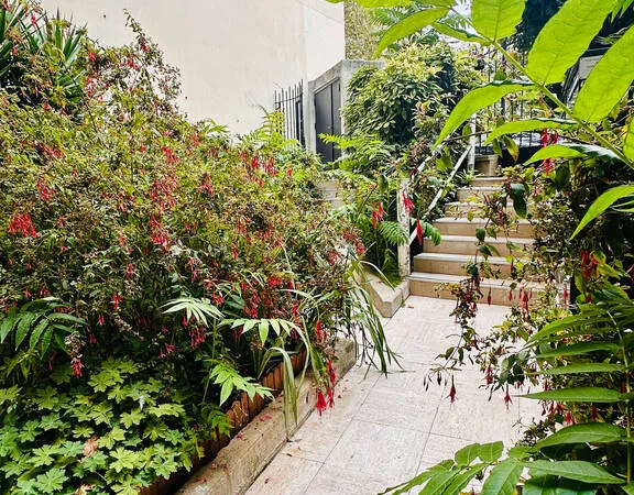 Appartement 3 pièces 43 m²