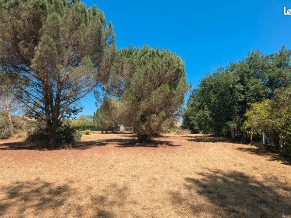 Terrain à bâtir exceptionnel 1656 m² avec PUITS - Saint-Sulpice-la-Pointe