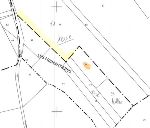 Parcelle taillis