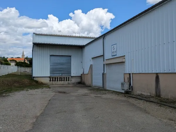 Local d'activité 1 pièce 960 m²