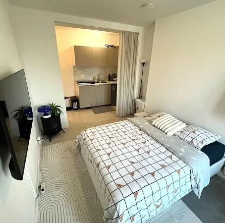 Appartement 1 pièce 17 m²