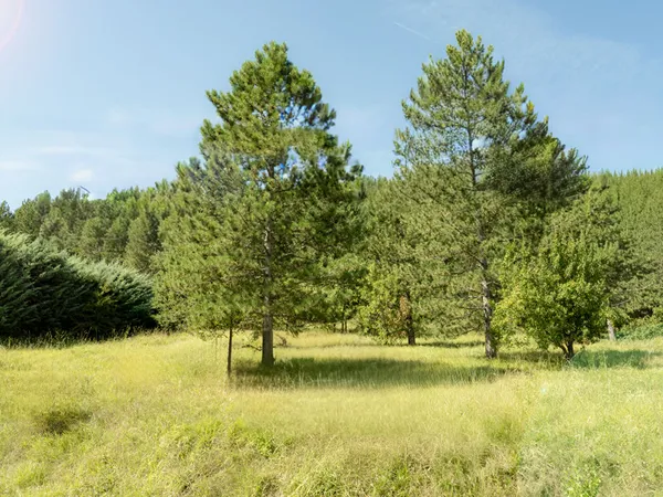 Terrain constructible Serres 1189 m2